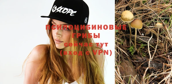 mix Дмитров