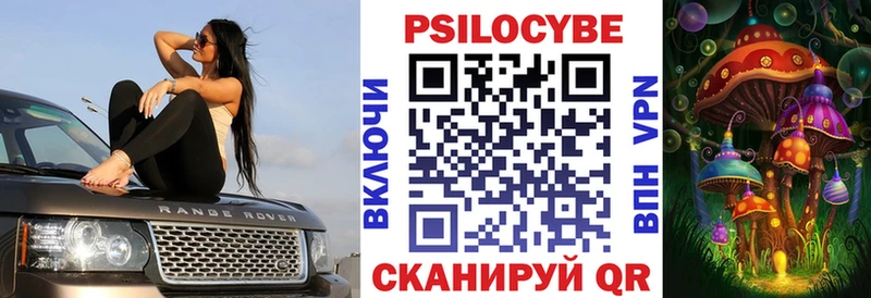Галлюциногенные грибы Psilocybine cubensis  Купить  Павловск 