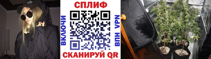 Купить закладки  Павловск  Шишки марихуана конопля 